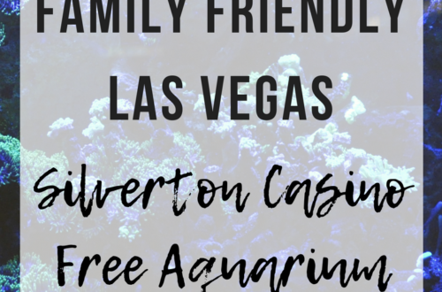 Family Friendly Las Vegas: Silverton Casino Free Aquarium | www.thevegasmom.com