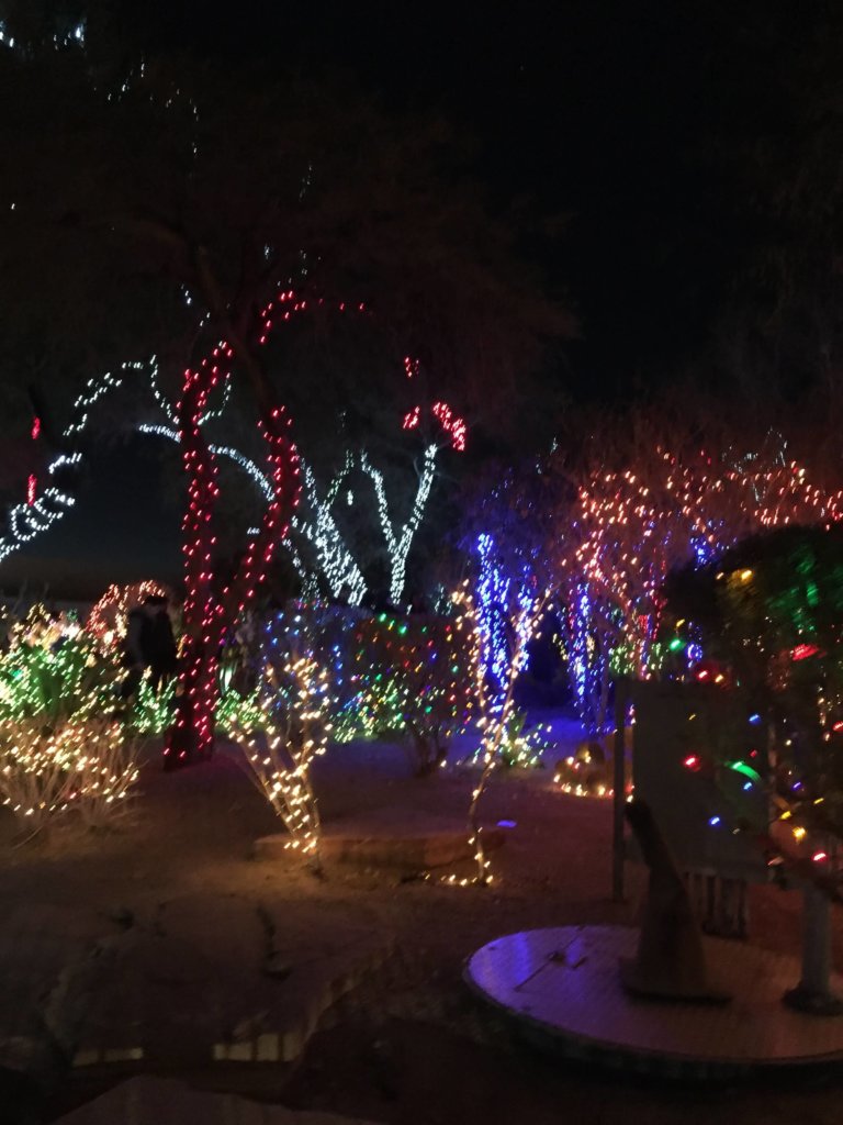 Ethel M's Cactus Garden Holiday Lights | www.thevegasmom.com