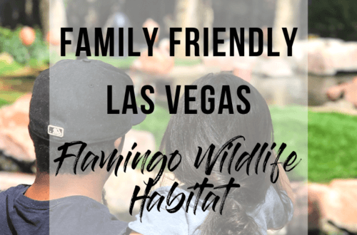 Family Friendly Las Vegas: The Flamingo Wildlife Habitat | www.thevegasmom.com